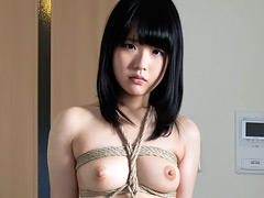 芦田知子